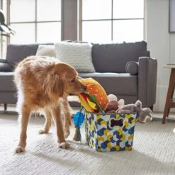 Frisco Rectangle Collapsible Pet Toy Storage Bin, Yellow Geometric 9 Frisco Rectangle Collapsible Pet Toy Storage Bin, Yellow Geometric -Frisco Shop 250578 PT3. AC SS1800 V1615572198
