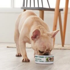 Frisco Boho Damask Ceramic Personalized Dog & Cat Bowl -Frisco Shop 250833 PT3. AC SS1800 V1610758070