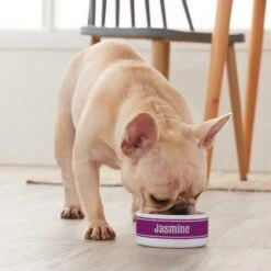 Frisco Preppy Stripes Ceramic Personalized Dog & Cat Bowl 7 Frisco Preppy Stripes Ceramic Personalized Dog & Cat Bowl -Frisco Shop 250837 PT3. AC SS1800 V1610764911