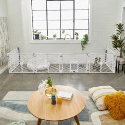 Frisco 6-Panel Plastic Exercise Dog Playpen, Light Gray 14 Frisco 6-Panel Plastic Exercise Dog Playpen, Light Gray -Frisco Shop 252045 PT6. AC SS1800 V1611090517