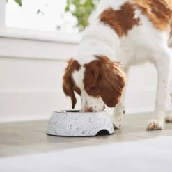 Frisco Quartz Design Stainless Steel Dog & Cat Bowl -Frisco Shop 253044 PT2. AC SS1800 V1616526418