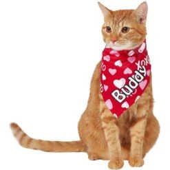 Frisco XOXO Hearts Personalized Dog & Cat Bandana 16 Frisco XOXO Hearts Personalized Dog & Cat Bandana -Frisco Shop 254203 PT7. AC SS1800 V1632417974