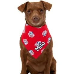 Frisco Patriotic Paws Personalized Dog & Cat Bandana -Frisco Shop 254243 PT6. AC SS1800 V1619557657