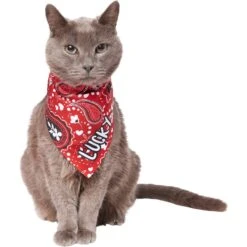 Frisco Paisley Printed Personalized Dog & Cat Bandana 16 Frisco Paisley Printed Personalized Dog & Cat Bandana -Frisco Shop 254247 PT7. AC SS1800 V1618508211