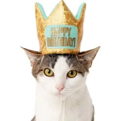Frisco Happy Birthday Dog & Cat Crown & Frisco Dog & Cat Birthday Bandana -Frisco Shop 255523 PT2. AC SS1800 V1603716120