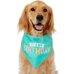 Frisco Happy Birthday Dog & Cat Crown & Frisco Dog & Cat Birthday Bandana -Frisco Shop 255523 PT3. AC SS1800 V1603716114