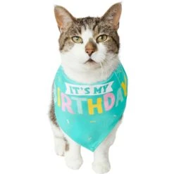 Frisco Happy Birthday Dog & Cat Crown & Frisco Dog & Cat Birthday Bandana -Frisco Shop 255523 PT4. AC SS1800 V1603716120