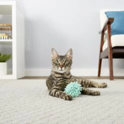 Frisco Moppy Ball Cat Toy With Catnip & Frisco Moppy Ball Cat Toy With Catnip -Frisco Shop 255585 PT2. AC SS1800 V1602691604
