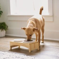 Frisco Ceramic Dog & Cat Double Diner With Elevated Wood Stand -Frisco Shop 256052 PT2. AC SS1800 V1615311142