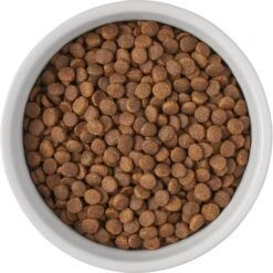 Frisco Bones Non-skid Ceramic Dog & Cat Bowl -Frisco Shop 256074 PT5. AC SS1800 V1615312010