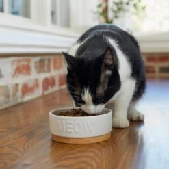 Frisco Round Meow Non-skid Ceramic Cat Bowl With Wood Base -Frisco Shop 256078 PT2. AC SS1800 V1615313612