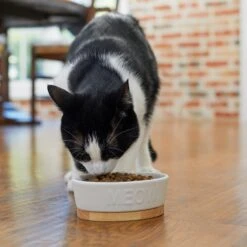 Frisco Oval Meow Non-skid Ceramic Cat Bowl With Wood Base 8 Frisco Oval Meow Non-skid Ceramic Cat Bowl With Wood Base -Frisco Shop 256080 PT2. AC SS1800 V1615310782