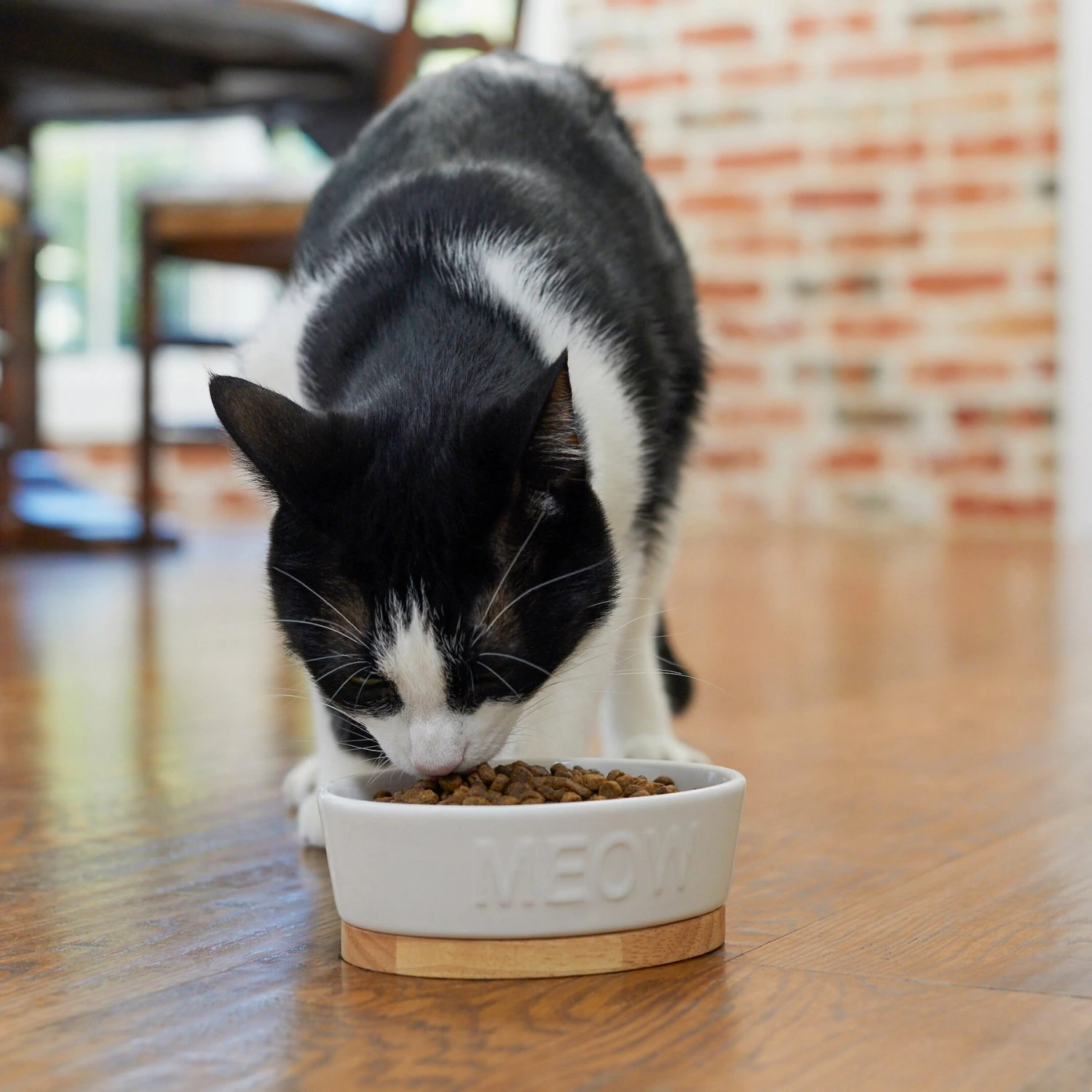 Frisco Oval Meow Non-skid Ceramic Cat Bowl With Wood Base 3 Frisco Oval Meow Non-skid Ceramic Cat Bowl With Wood Base - Image 3