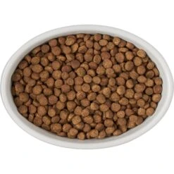 Frisco Oval Meow Non-skid Ceramic Cat Bowl With Wood Base 11 Frisco Oval Meow Non-skid Ceramic Cat Bowl With Wood Base -Frisco Shop 256080 PT5. AC SS1800 V1615312016