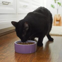 Frisco Kaleidoscope Pattern Non-skid Ceramic Dog & Cat Bowl -Frisco Shop 256090 PT2. AC SS1800 V1615311092