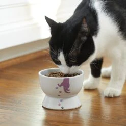 Frisco Cat Print Non-skid Elevated Ceramic Cat Bowl, Short -Frisco Shop 256096 PT2. AC SS1800 V1616522571