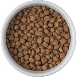 Frisco Cat Print Non-skid Elevated Ceramic Cat Bowl, Short -Frisco Shop 256096 PT4. AC SS1800 V1616522576