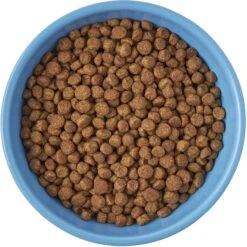 Frisco Cat Face Non-skid Ceramic Cat Bowl, Blue -Frisco Shop 256103 PT5. AC SS1800 V1615312900