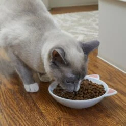 Frisco Cat Face Non-skid Ceramic Cat Dish -Frisco Shop 256105 PT2. AC SS1800 V1615310882