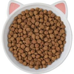Frisco Cat Face Non-skid Ceramic Cat Dish -Frisco Shop 256105 PT5. AC SS1800 V1615321295