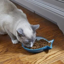 Frisco Fish Shaped Non-skid Ceramic Cat Dish -Frisco Shop 256109 PT3. AC SS1800 V1617196297
