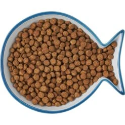 Frisco Fish Shaped Non-skid Ceramic Cat Dish -Frisco Shop 256109 PT6. AC SS1800 V1617196895