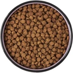 Frisco Paris Non-skid Ceramic Cat Dish -Frisco Shop 256117 PT5. AC SS1800 V1615311392