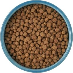 Frisco New York Non-skid Ceramic Cat Bowl -Frisco Shop 256121 PT5. AC SS1800 V1615311387