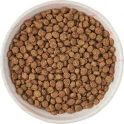 Frisco Marble Design Non-skid Ceramic Cat Dish -Frisco Shop 256127 PT5. AC SS1800 V1615321285