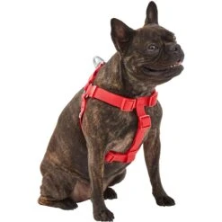 Frisco Outdoor Solid Textured Waterproof Stink Proof PVC Dog Harness -Frisco Shop 256518 PT2. AC SS1800 V1625164704