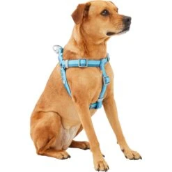 Frisco Outdoor Two Tone Waterproof Stinkproof PVC Dog Harness 7 Frisco Outdoor Two Tone Waterproof Stinkproof PVC Dog Harness -Frisco Shop 256580 PT2. AC SS1800 V1625164701