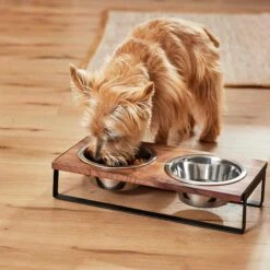 Frisco Wood Elevated Non-Skid Stainless Steel Double Diner Dog & Cat Bowl 9 Frisco Wood Elevated Non-Skid Stainless Steel Double Diner Dog & Cat Bowl -Frisco Shop 257143 PT3. AC SS1800 V1615987292