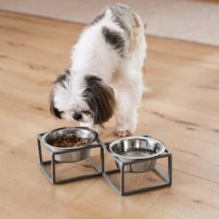 Frisco Elevated Diamond Stainless Steel Double Diner Dog & Cat Bowl -Frisco Shop 257147 PT8. AC SS1800 V1615840442