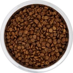 Frisco Black Iron Non-Skid Stainless Steel Dog & Cat Bowl -Frisco Shop 257152 PT4. AC SS1800 V1615311427