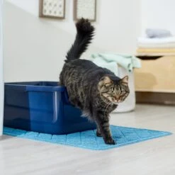 Frisco Quilted Cat Litter Mat 8 Frisco Quilted Cat Litter Mat -Frisco Shop 258210 PT3. AC SS1800 V1675279933
