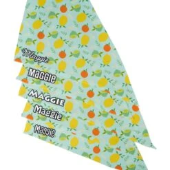 Frisco Citrus Personalized Dog & Cat Bandana 13 Frisco Citrus Personalized Dog & Cat Bandana -Frisco Shop 258758 PT4. AC SS1800 V1619558899