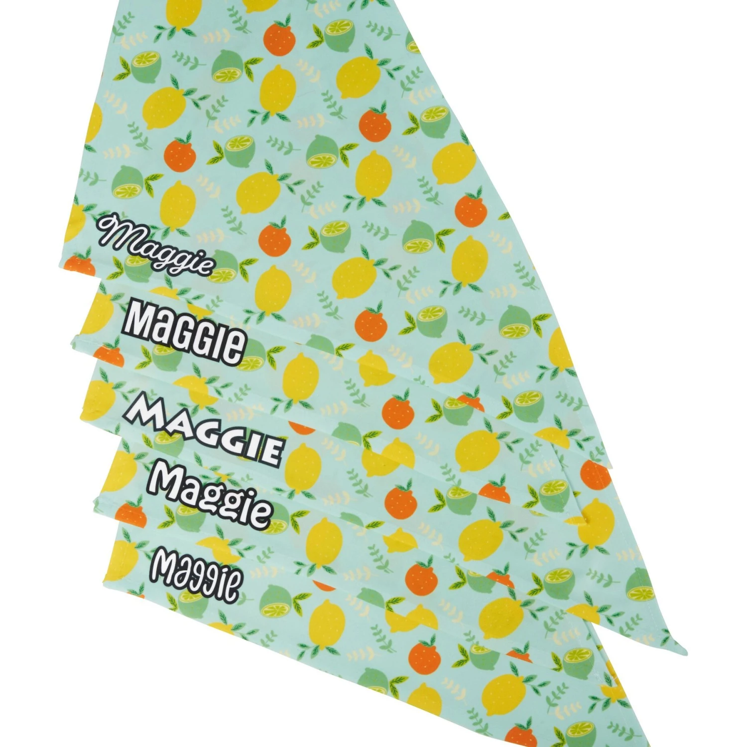 Frisco Citrus Personalized Dog & Cat Bandana 5 Frisco Citrus Personalized Dog & Cat Bandana - Image 5