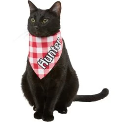 Frisco Gingham Personalized Dog & Cat Bandana -Frisco Shop 258775 PT7. AC SS1800 V1619558565