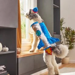 Frisco Rocket Ship Dog & Cat Costume -Frisco Shop 260904 PT8. AC SS1800 V1624400386