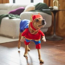 Frisco Front Walking Superhero Dog & Cat Costume -Frisco Shop 261083 PT8. AC SS1800 V1624399471