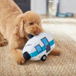 Frisco Road Trip Happy Camper Plush Squeaky Dog Toy -Frisco Shop 261991 PT3. AC SS1800 V1618598545