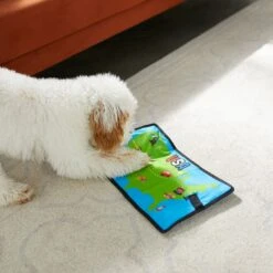 Frisco Road Trip Foldable Map Flat Plush Squeaky Dog Toy 9 Frisco Road Trip Foldable Map Flat Plush Squeaky Dog Toy -Frisco Shop 261998 PT4. AC SS1800 V1619791937