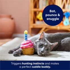 Frisco Birthday Cupcake Plush Cat Toy With Refillable Catnip -Frisco Shop 264456 PT5. AC SS1800 V1691785246