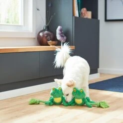 Frisco Magic Frog Plush With Rope Squeaky Dog Toy 5 Frisco Magic Frog Plush With Rope Squeaky Dog Toy -Frisco Shop 265606 PT3. AC SS1800 V1620938889