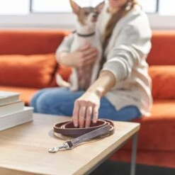 Frisco Top Grain Leather Leash -Frisco Shop 266521 PT3. AC SS1800 V1619536628