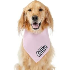 Frisco Solid Pastel Personalized Dog & Cat Bandana -Frisco Shop 267514 PT6. AC SS1800 V1632417387