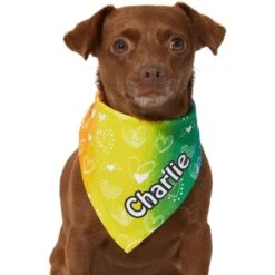 Frisco Rainbow Hearts Personalized Dog & Cat Bandana -Frisco Shop 267539 PT5. AC SS1800 V1632432071