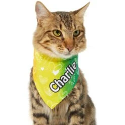 Frisco Rainbow Hearts Personalized Dog & Cat Bandana -Frisco Shop 267539 PT6. AC SS1800 V1632420703