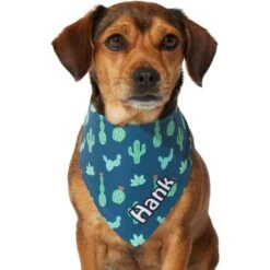 Frisco Cactus Personalized Dog & Cat Bandana -Frisco Shop 267551 PT7. AC SS1800 V1623164614