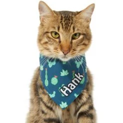 Frisco Cactus Personalized Dog & Cat Bandana -Frisco Shop 267551 PT8. AC SS1800 V1623164657